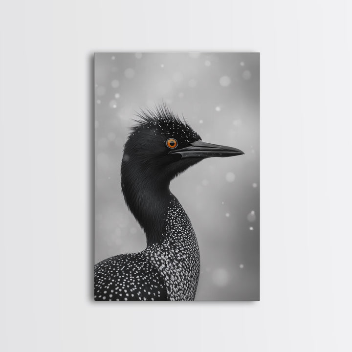 Black Loon, Bird Closeup, Snowy Glow, Winter Nature Canvas Print, Wildlife Wall Art, Modern Bedroom Decor, Birdwatcher Gift Print