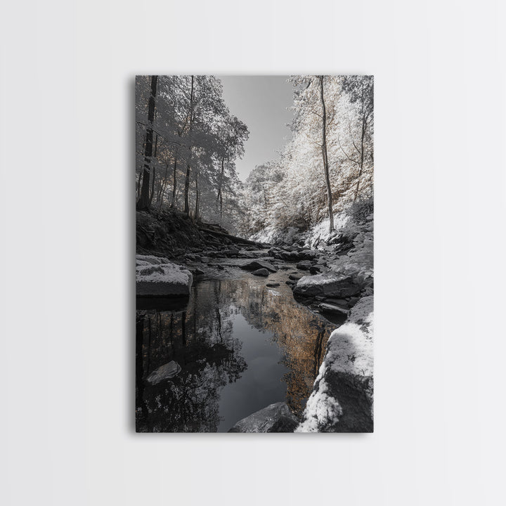 Autumn Creek Walk, Monochrome Forest Stream, Fall Reflections, Framed Canvas Print, Entryway Wall Art, Nature Trail Photography Decor