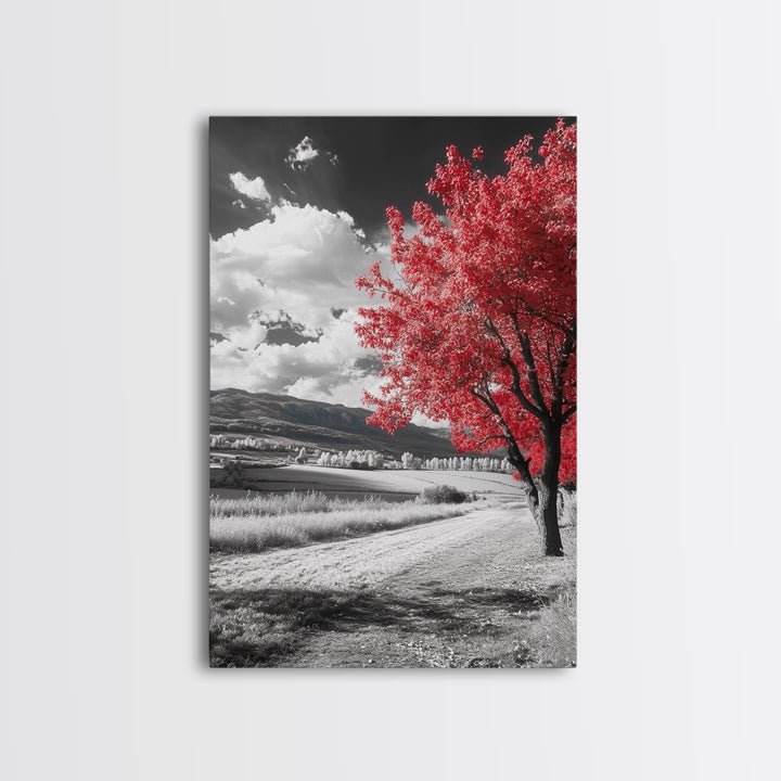 Autumn Red Tree, Scenic Road, Countryside Field, Framed Canvas Print, Fall Wall Art, Rustic Home Decor, Nature Photography, Office Accent