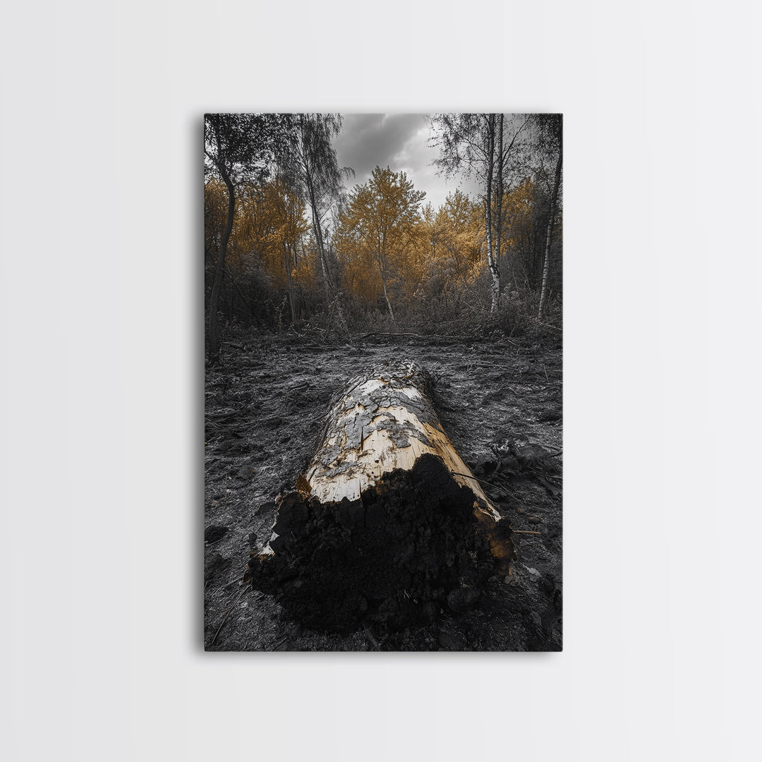 Fallen Log, Autumn Forest, Nature Transition, Framed Canvas Print, Rustic Fall Decor, Cabin Wall Art, Woodland Photography