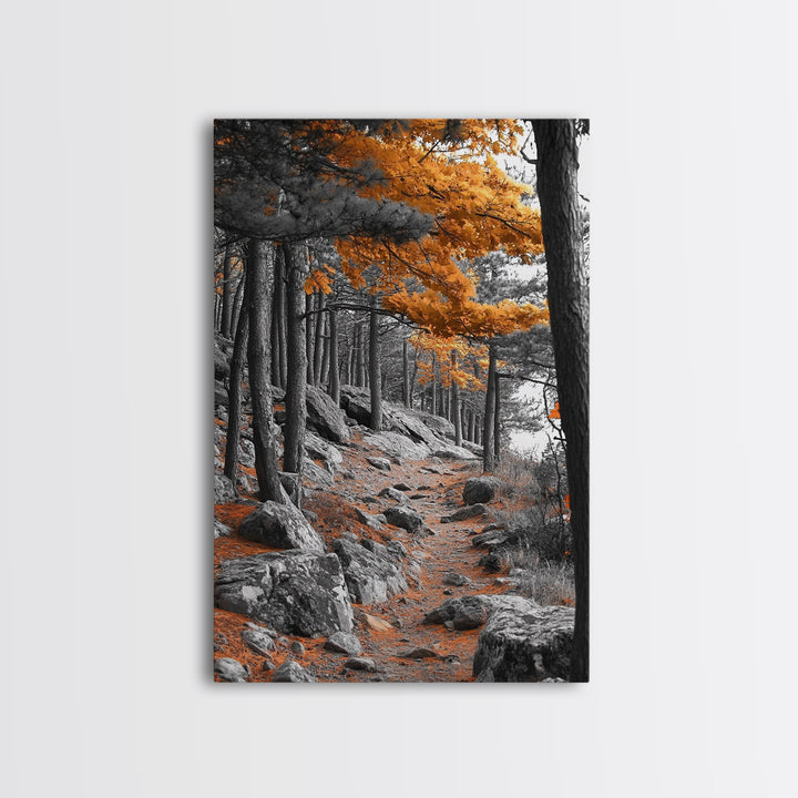Autumn Forest Path, Orange Leaves, Rocky Woods Trail, Tranquil Nature, Framed Canvas Print, Fall Decor, Cabin Wall Art, Rustic Style