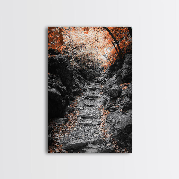 Rocky Trail, Autumn Leaves, Forest Path, Framed Canvas Print, Fall Nature Wall Art, Rustic Entryway Decor, Hiking Landscape Art