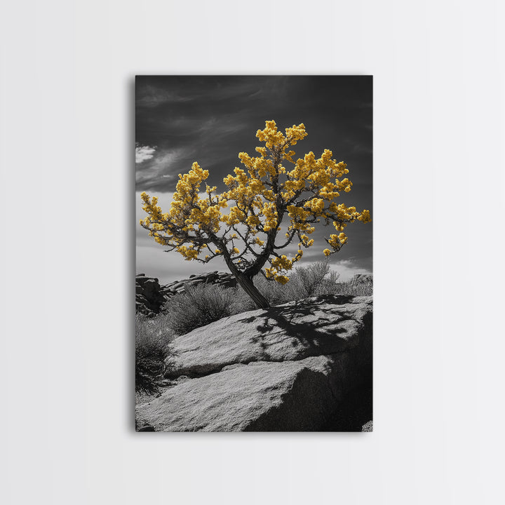 Desert Bloom, Yellow Tree, Rocky Hill, Framed Canvas Print, Southwest Wall Art, Boho Nature Decor, Minimalist Desert Landscape