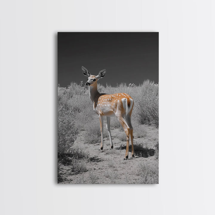 Baby Deer, Spotted Fawn, Desert Wildlife, Framed Canvas Print, Nursery Wall Art, Wildlife Nature Decor, Gentle Forest Animal Art