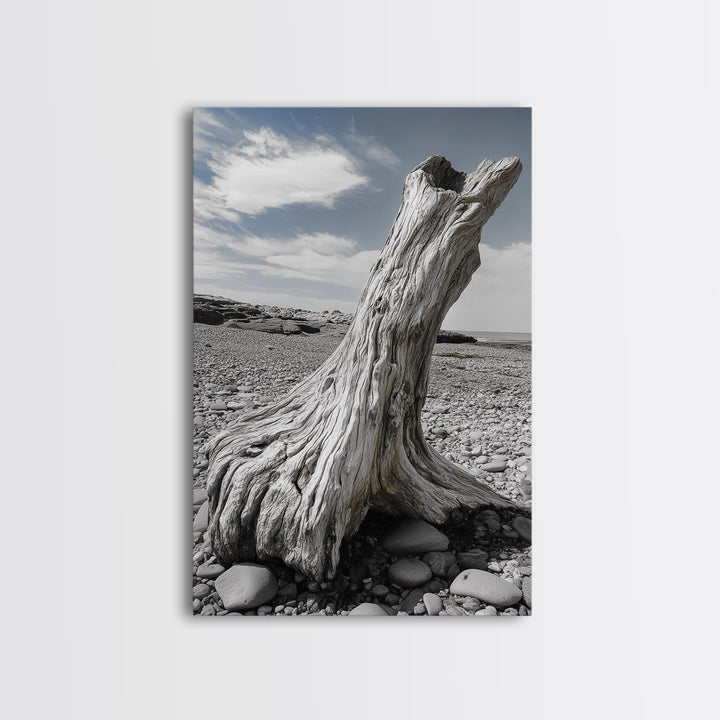 Coastal Driftwood, Beach Stump, Pebble Shore, Framed Canvas Print, Rustic Wall Art, Bathroom Decor, Earthy Beach House Accent