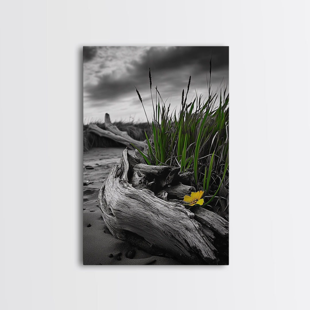 Wild Bloom, Yellow Flower, Driftwood and Grass, Moody Beach Scene, Framed Canvas Print, Autumn Wall Art, Nature Decor, Cozy Home Accent