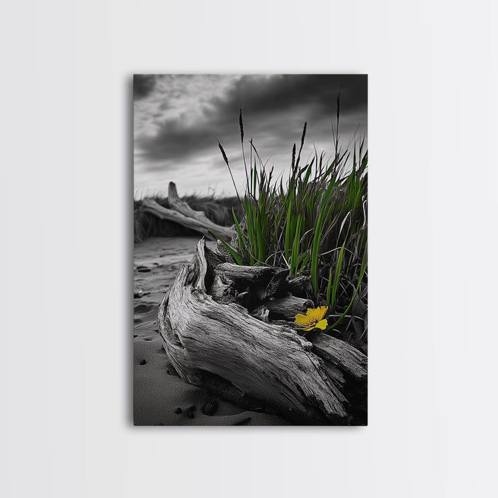 Wild Bloom, Yellow Flower, Driftwood and Grass, Moody Beach Scene, Framed Canvas Print, Autumn Wall Art, Nature Decor, Cozy Home Accent