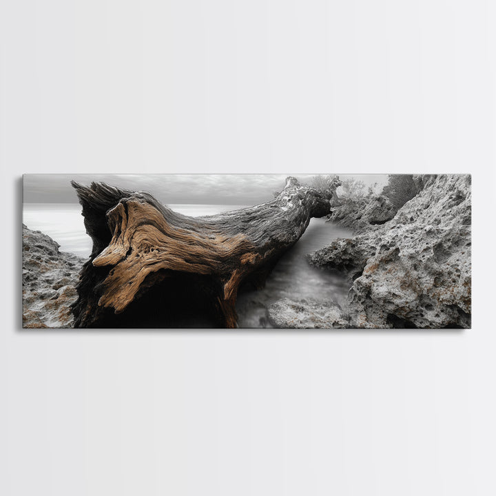 Driftwood Coast, Ocean Roots, Washed Ashore, Beach Texture — Canvas Print, Coastal Decor, Bathroom Wall Art, Monochrome Nature Photography