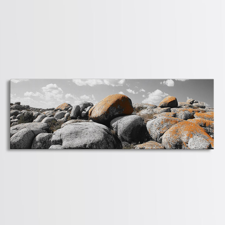 Granite Boulder Field, Orange Lichen Rocks, Desert Rockscape, Canvas Print, Natural Earth Decor, Living Room Wall Art
