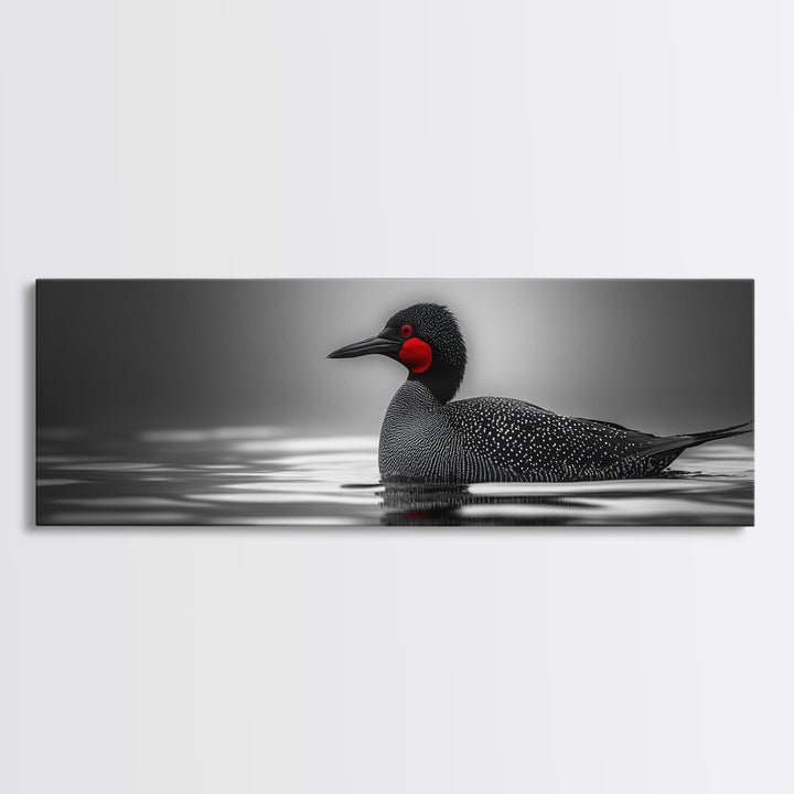 Red-Eyed Loon, Waterbird, Monochrome Beauty, Wildlife Portrait, Framed Canvas Print, Cabin Wall Art, Bird Lover Gift, Nature Photography