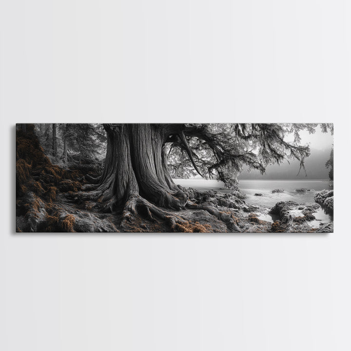 Ancient Tree, Forest Roots, Coastal Woods, Mystical Scene, Framed Canvas Print, Nature Wall Art, Woodland Decor, Moody Living Room Art