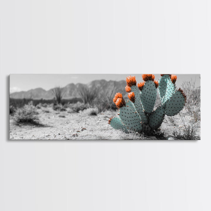 Cactus Garden, Desert Life, Orange Bloom, Nature Vibes, Framed Canvas Print, Rustic Wall Art, Boho Decor, Office Botanical Accent