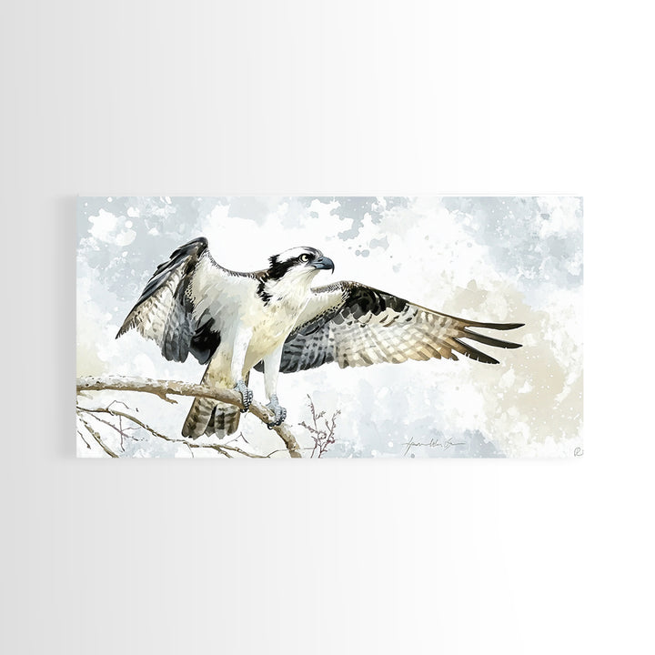 Landing Osprey On Winter Branch Canvas Print, Watercolor Hawk Wall Art, Rustic Nature Decor, Bird Lover Housewarming Gift