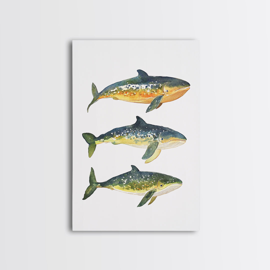 Three Colorful Whales Canvas Print, Marine Life Wall Art, Ocean Animal Art Print, Coastal Nursery Decor, Whale Lover Gift