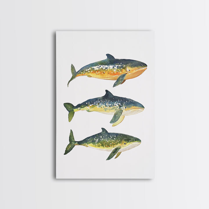Three Colorful Whales Canvas Print, Marine Life Wall Art, Ocean Animal Art Print, Coastal Nursery Decor, Whale Lover Gift