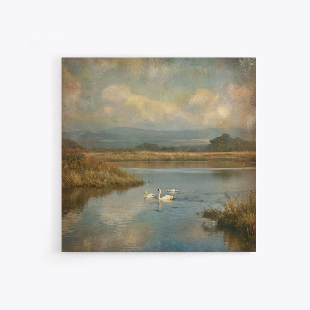 Paired Swans in a Dreamy Painterly Lake Canvas Print, Above Bed Art, Boho Wall Art, Bedroom Decor, Fine Art, Serenity, ABA-1x1-22