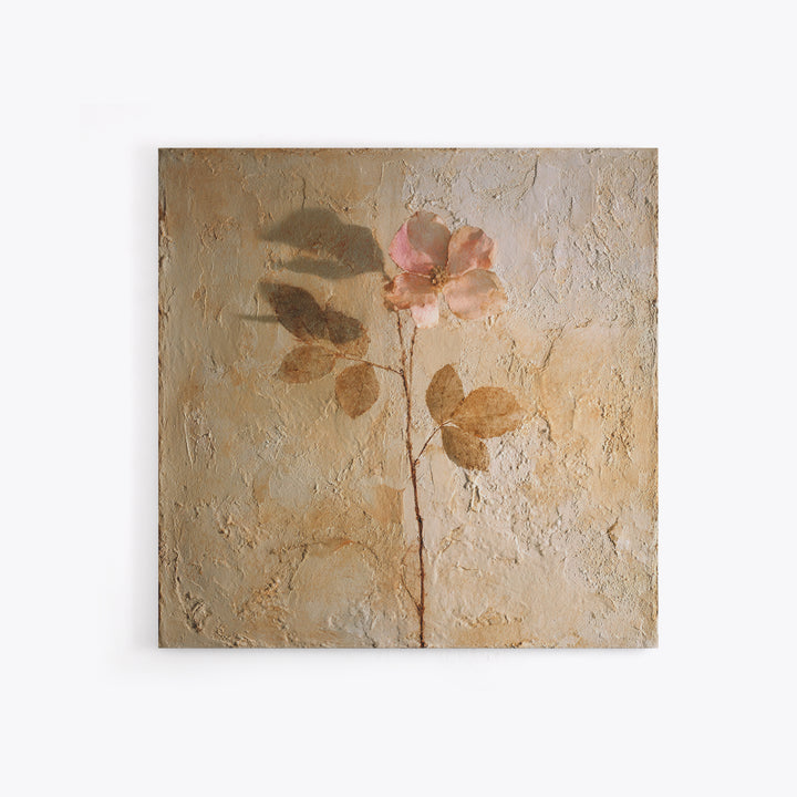 Tonal Botanical Shadows on Plaster Surface Canvas Print, Above Bed Art, Photography Prints, Bedroom Decor, Serenity, ABA-1x1-71