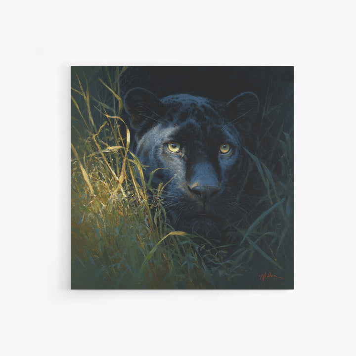Dramatic Black Panther Emerging from Deep Jungle Canvas Print, Animal Art, Nursery Art, Living Room Decor, Oil Painting, ANI-1x1-30