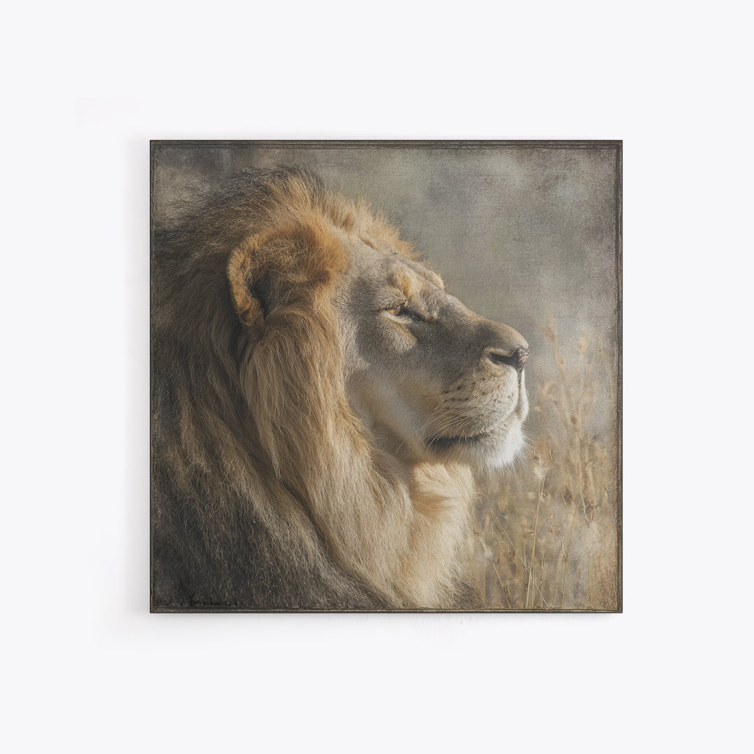 Regal Lion Profile Framed Canvas Print, Animal Art, Statement Artwork, Living Room Decor, Abstract Art, Creature, Wall Decor, ANI-1x1-33