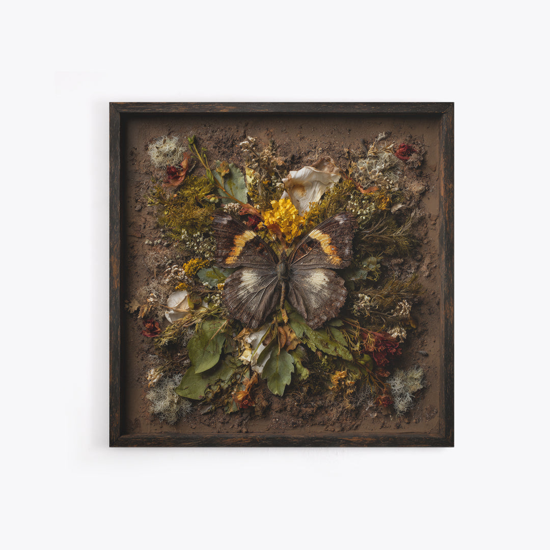 Butterfly Specimen Composition Framed Canvas Print, Animal Art, Cat Art, Living Room Decor, Fine Art, Creature, Art Print, ANI-1x1-71