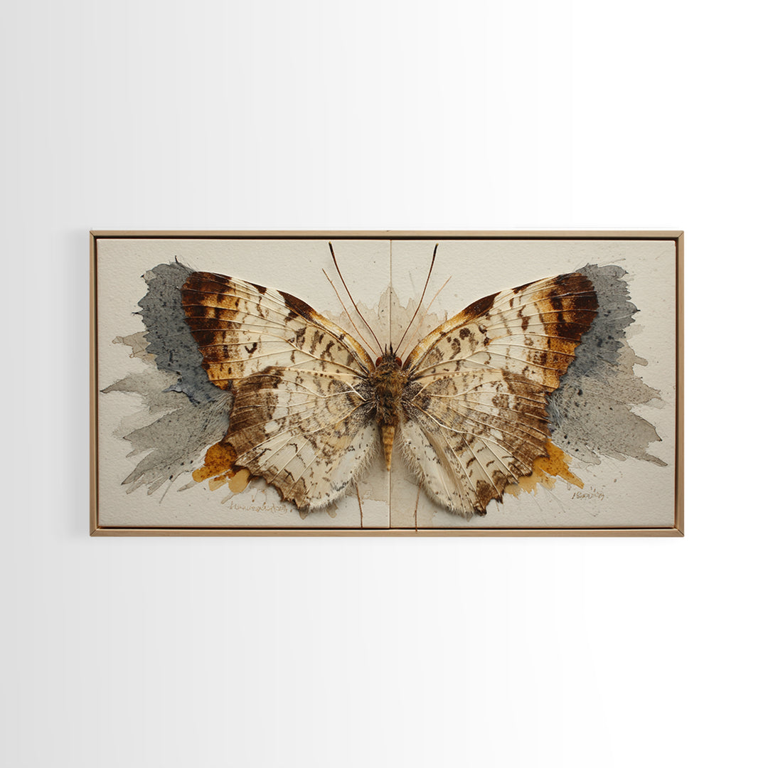 Butterfly Specimen Composition Framed Canvas Print, Animal Art, Digital Prints, Living Room Decor, Fine Art, Creature, ANI-2x1-43