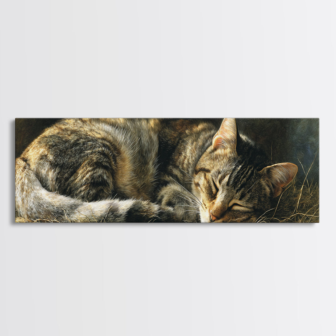 Sleeping Cat Curled Framed Canvas Print, Animal Art, Room Decor, Living Room Decor, Abstract Art, Creature, Printable, ANI-3x1-52