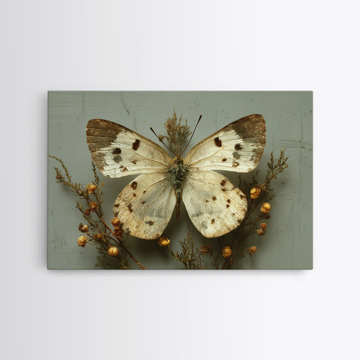 Butterfly Specimen Composition Canvas Print, Animal Art, Art Deco, Living Room Decor, Creature, Cat Art, Safari Nursery Decor, ANI-3x2-3