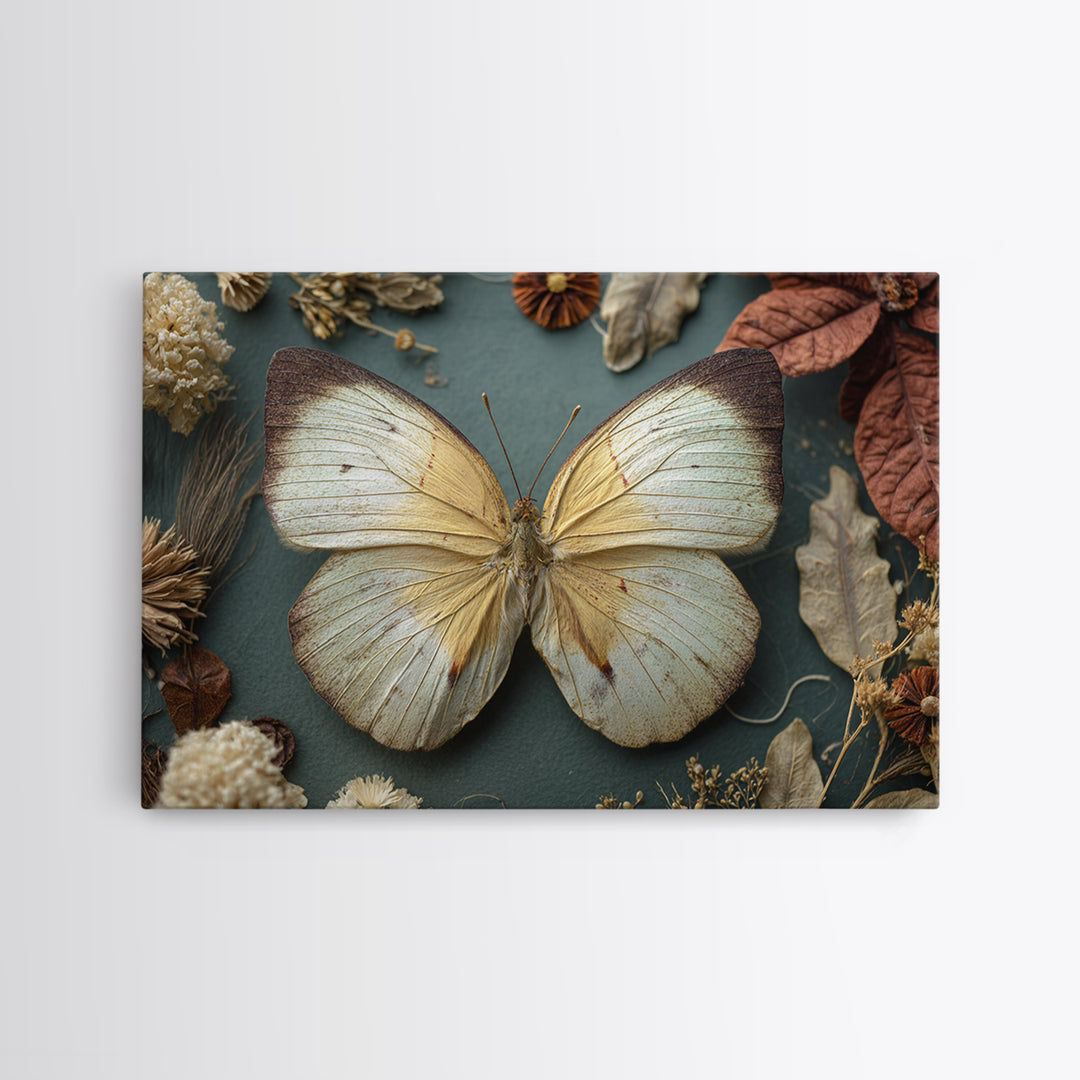 Butterfly Specimen Composition Canvas Print, Animal Art, Nursery Art, Living Room Decor, Fine Art, Creature, Luxury Decor, ANI-3x2-51