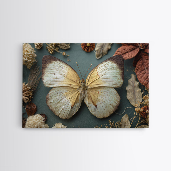 Butterfly Specimen Composition Canvas Print, Animal Art, Nursery Art, Living Room Decor, Fine Art, Creature, Luxury Decor, ANI-3x2-51
