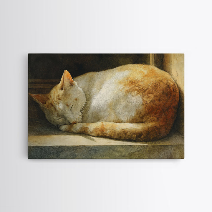 Sleeping Cat Curled Framed Canvas Print, Animal Art, Gallery Decor, Living Room Decor, Abstract Art, Creature, Contemporary Art, ANI-3x2-64
