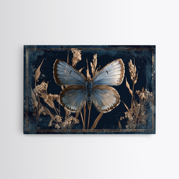 Butterfly Specimen Composition Framed Canvas Print, Animal Art, Minimalist Decor, Living Room Decor, Fine Art, Creature, ANI-3x2-99