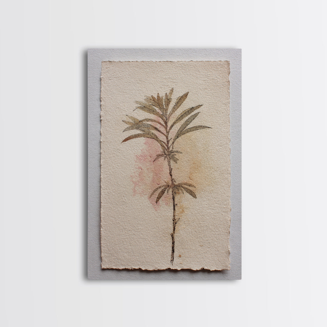 Minimal Botanical Ink Drawing on Handmade Paper Framed Canvas Print, Art, Room Decor, Living Room Decor, Fine Art, ART-2x3-13