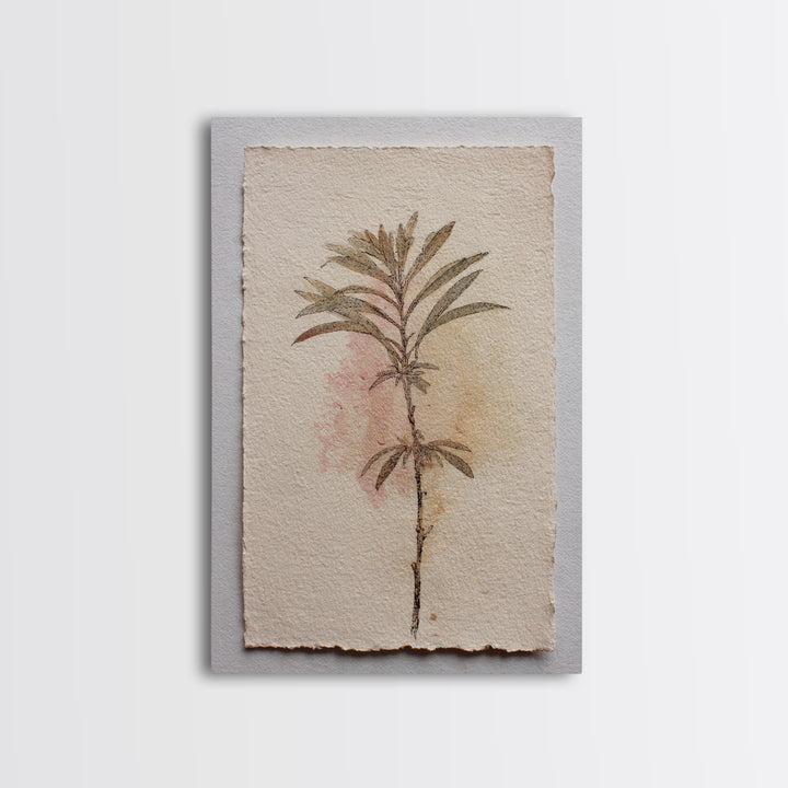 Minimal Botanical Ink Drawing on Handmade Paper Framed Canvas Print, Art, Room Decor, Living Room Decor, Fine Art, ART-2x3-13