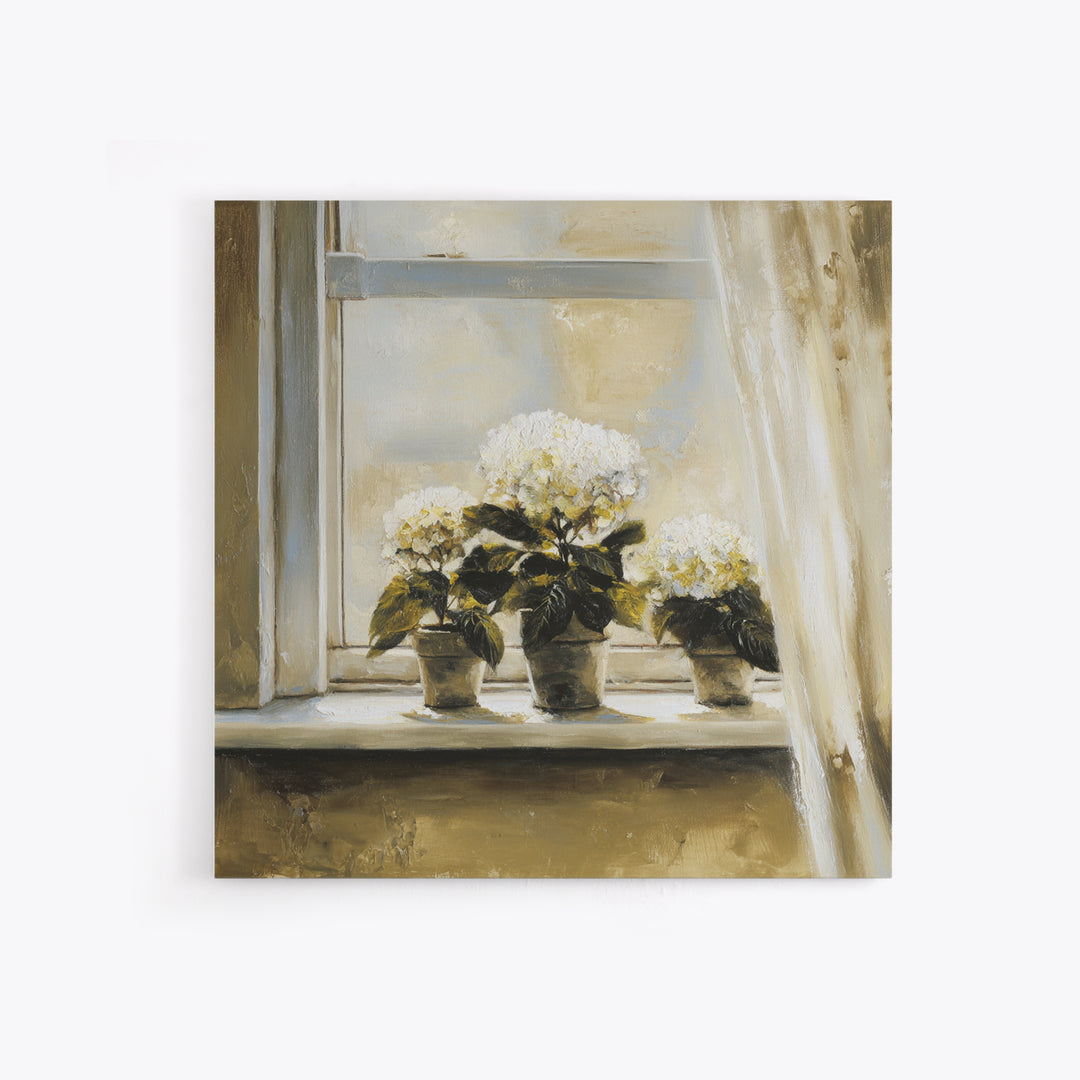 Sunlit Hydrangeas on a Windowsill Canvas Print, Bed and Breakfast Art, Trendy Wall Art, Living Room Decor, Fine Art, BAB-1x1-10