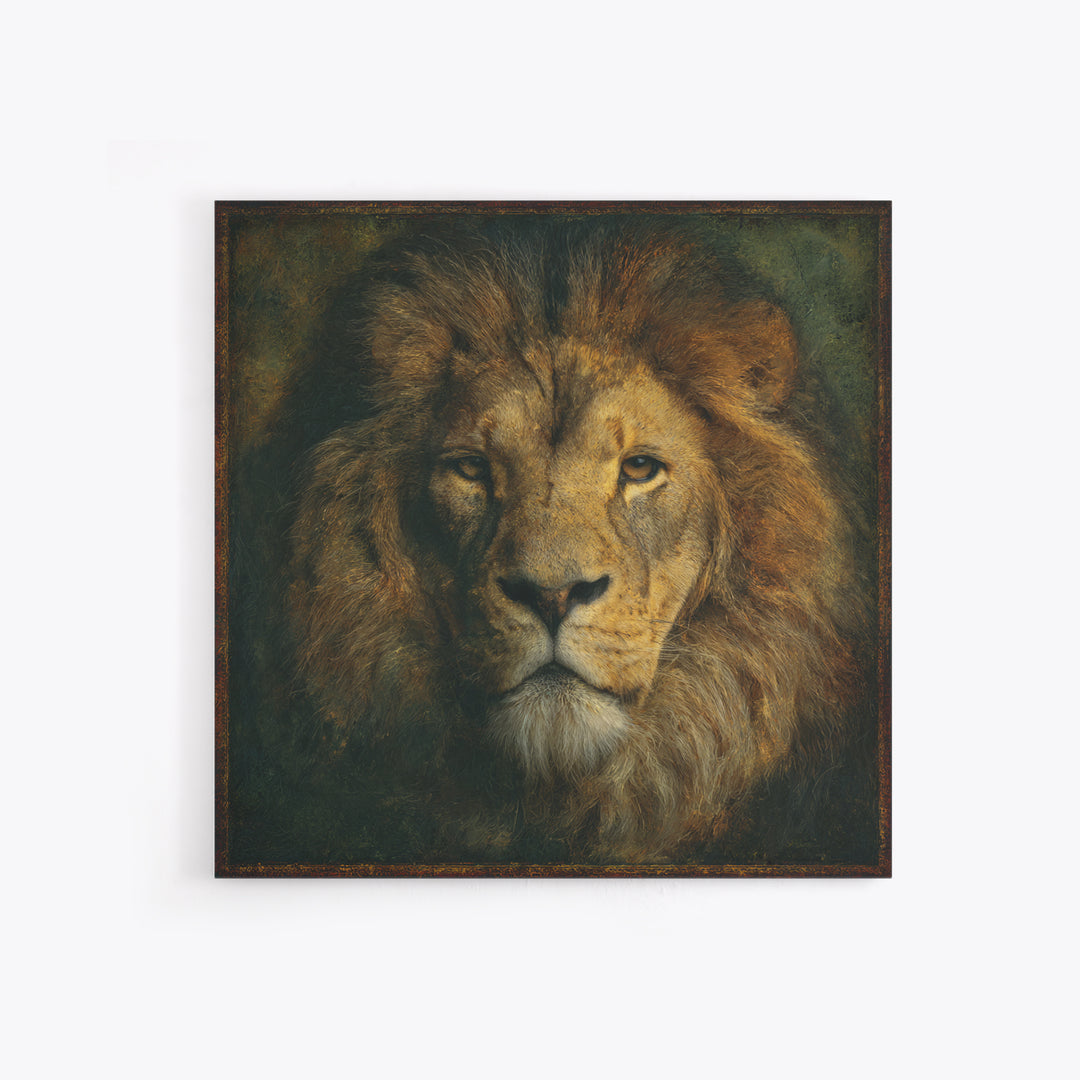 Royal Lion Portrait Framed Canvas Print, Baroque Art, Eclectic Wall Art, Living Room Decor, Fine Art, Ornate, Gallery Decor, BAO-1x1-41
