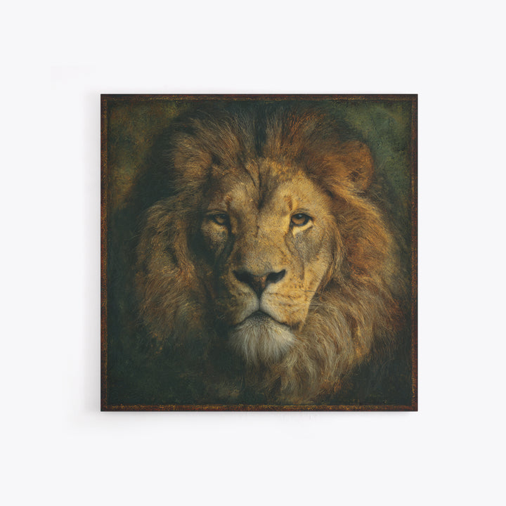 Royal Lion Portrait Framed Canvas Print, Baroque Art, Eclectic Wall Art, Living Room Decor, Fine Art, Ornate, Gallery Decor, BAO-1x1-41