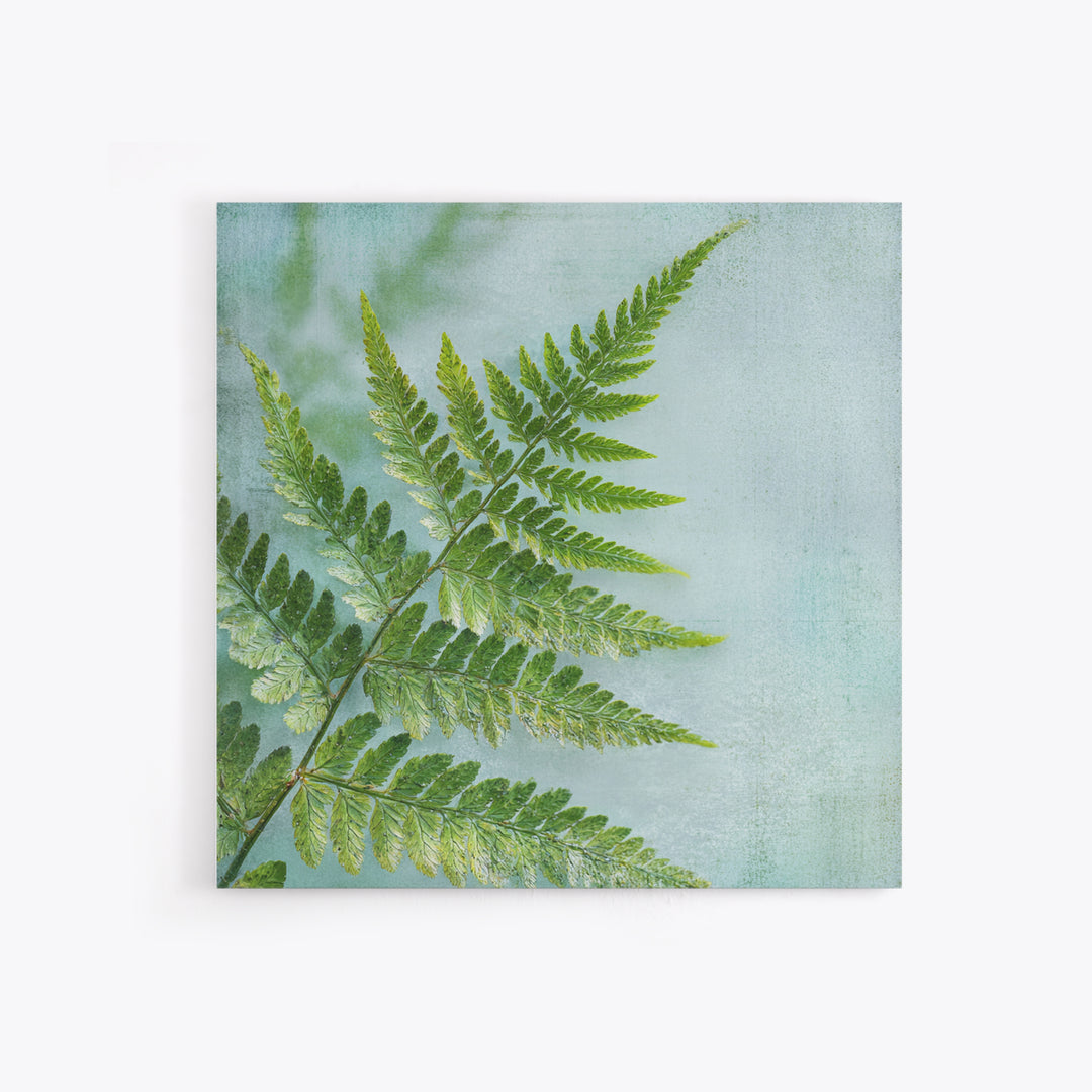 Green Fern Frond Closeup Canvas Print, Bathroom Art, Bathroom Prints, Bathroom Decor, Fine Art, Spa, Trendy Wall Art, BAT-1x1-10