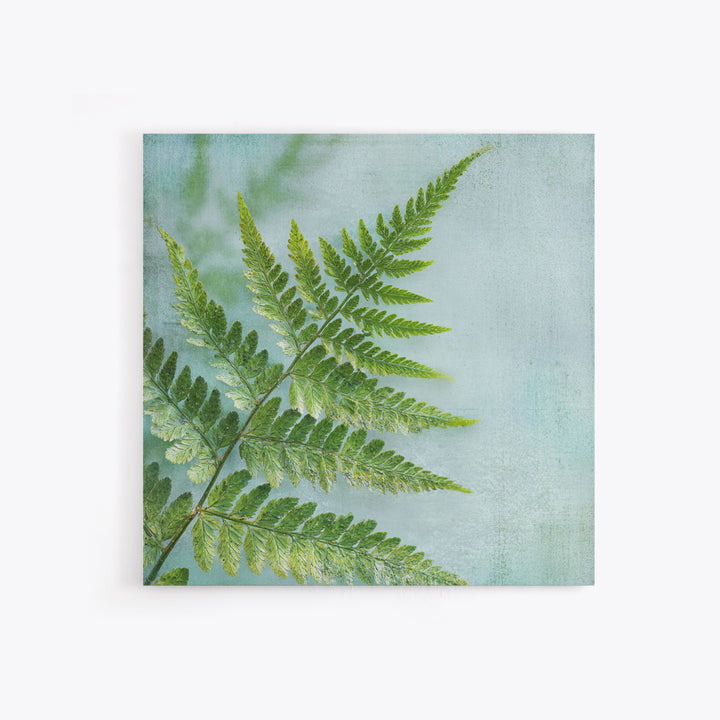 Green Fern Frond Closeup Canvas Print, Bathroom Art, Bathroom Prints, Bathroom Decor, Fine Art, Spa, Trendy Wall Art, BAT-1x1-10