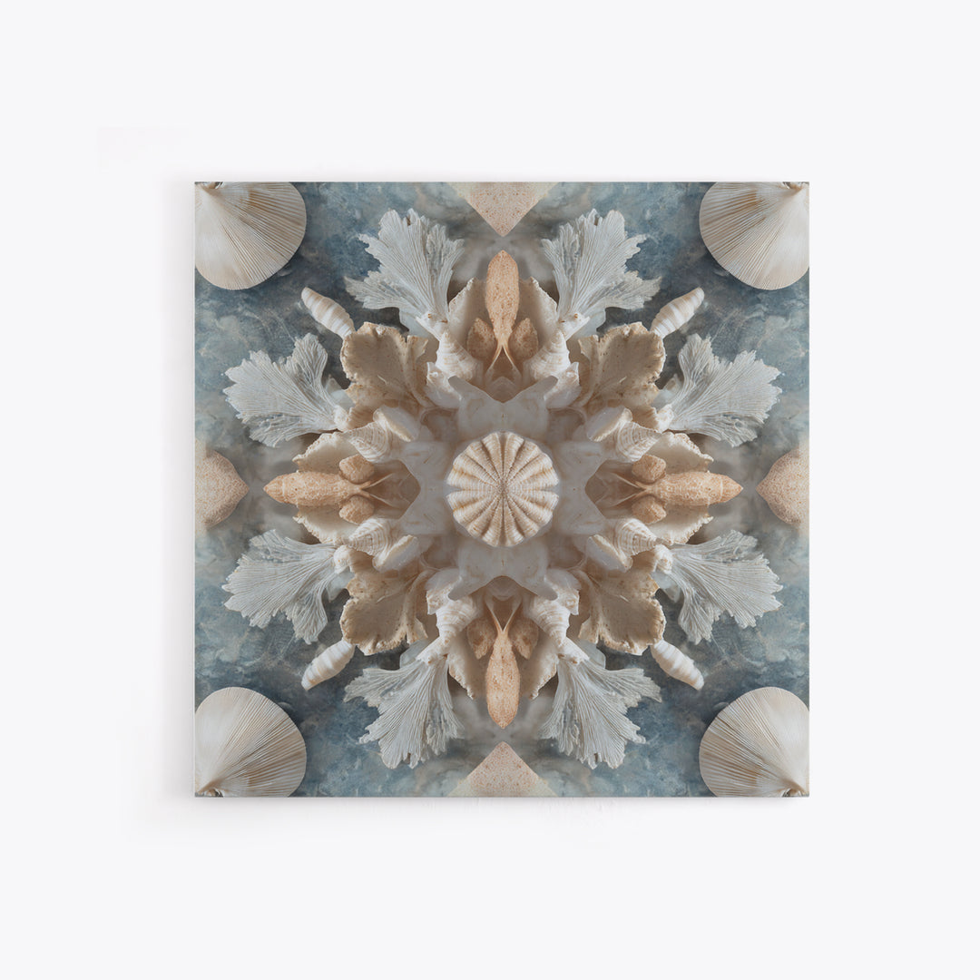 Coral and Shell Arrangement Framed Canvas Print, Bathroom Art, Bathroom Decor, Fine Art, Spa, Bathroom Accessories, Modern Art, BAT-1x1-11