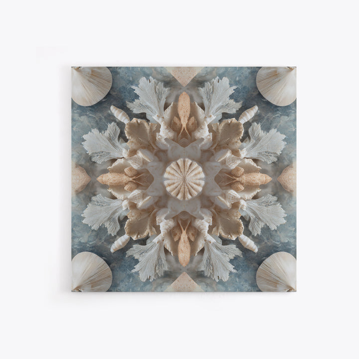 Coral and Shell Arrangement Framed Canvas Print, Bathroom Art, Bathroom Decor, Fine Art, Spa, Bathroom Accessories, Modern Art, BAT-1x1-11