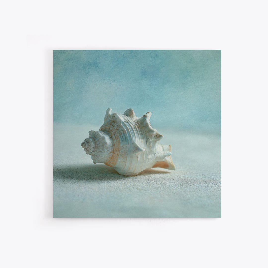 Minimal Seashell Still Life on Pale Sand Canvas Print, Bathroom Art, Custom Pet Portrait, Bathroom Decor, Abstract Art, Spa, BAT-1x1-3