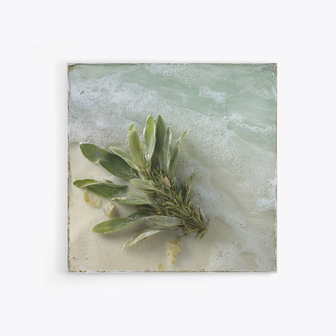 Botanical Bath Herb Arrangement Framed Canvas Print, Bathroom Art, Minimalist Wall Art, Bathroom Decor, Oil Painting, Spa, BAT-1x1-41