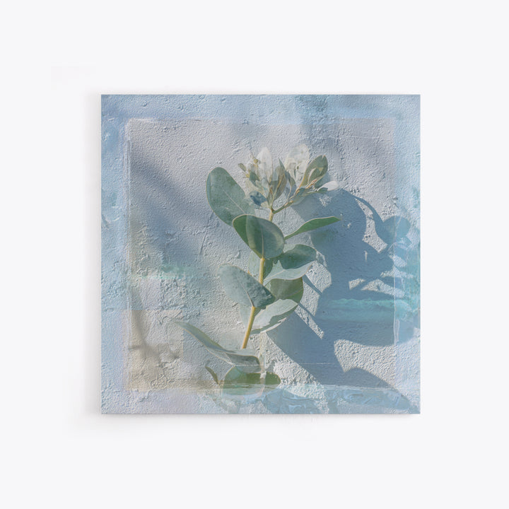 Sunlit Window Plant Shadow on Plaster Framed Canvas Print, Bathroom Art, Unique Wall Art, Bathroom Decor, Abstract Art, Spa, BAT-1x1-42