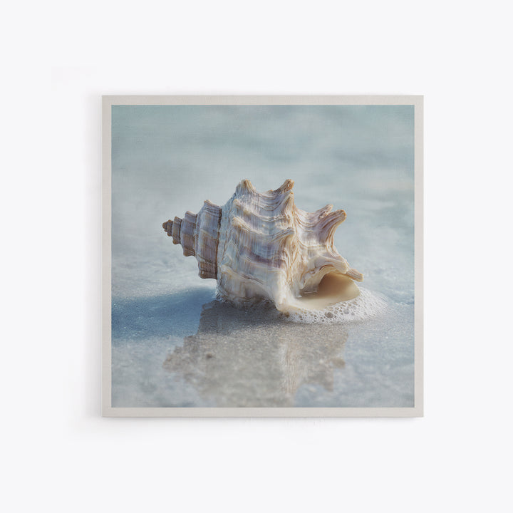 Minimal Seashell Still Life on Pale Sand Framed Canvas Print, Bathroom Art, Minimalist Wall Art, Bathroom Decor, Oil Painting, BAT-1x1-51