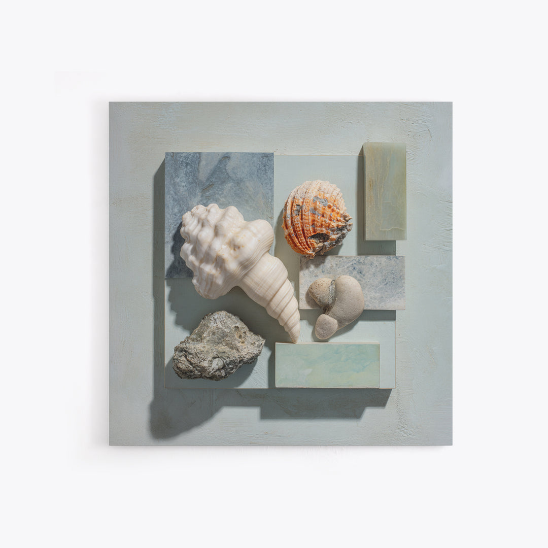 Coral and Shell Arrangement Canvas Print, Bathroom Art, Funny Bathroom Art, Bathroom Decor, Fine Art, Spa, Art Print, BAT-1x1-59