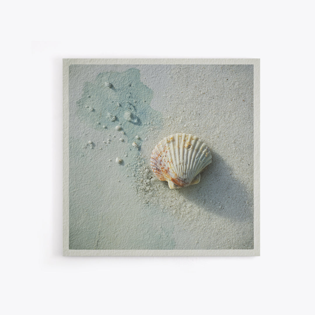Minimal Seashell Still Life on Pale Sand Canvas Print, Bathroom Art, Gallery Decor, Bathroom Decor, Spa, Minimalist Decor, BAT-1x1-75