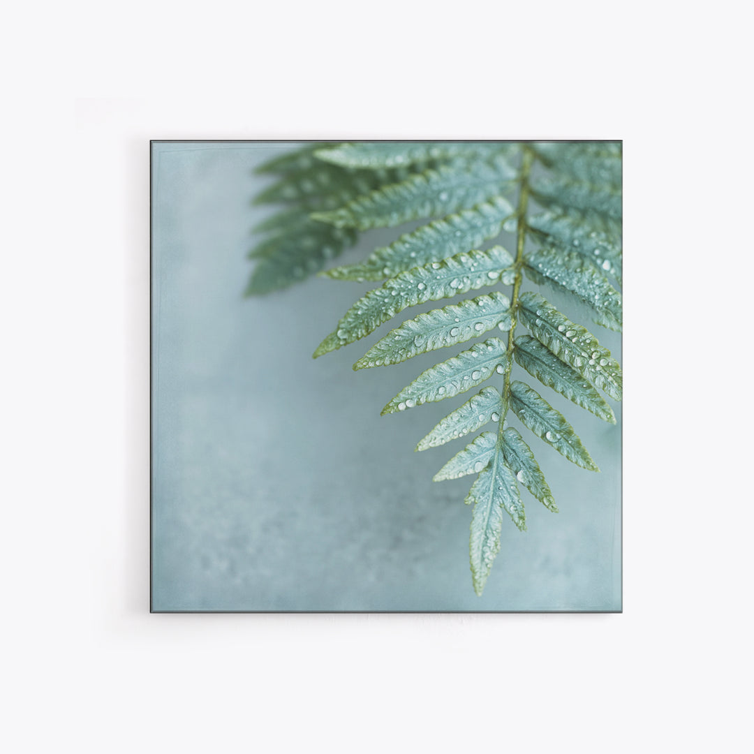 Green Fern Frond Closeup Canvas Print, Bathroom Art, Halloween Art, Bathroom Decor, Oil Painting, Spa, Textured Painting, BAT-1x1-82