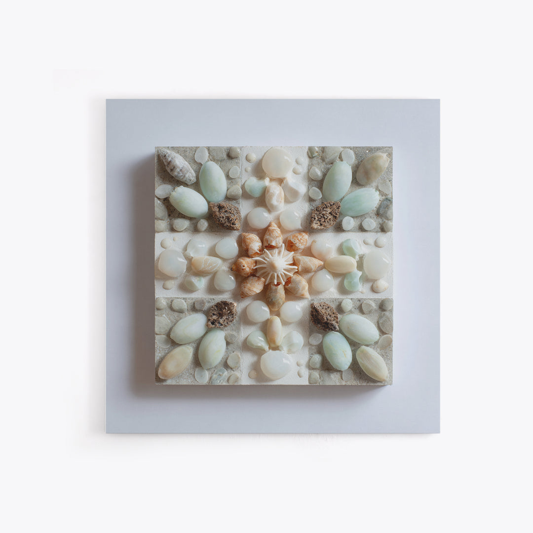 Coral and Shell Arrangement Framed Canvas Print, Bathroom Art, Neutral Decor, Bathroom Decor, Fine Art, Spa, Wall Art, BAT-1x1-83