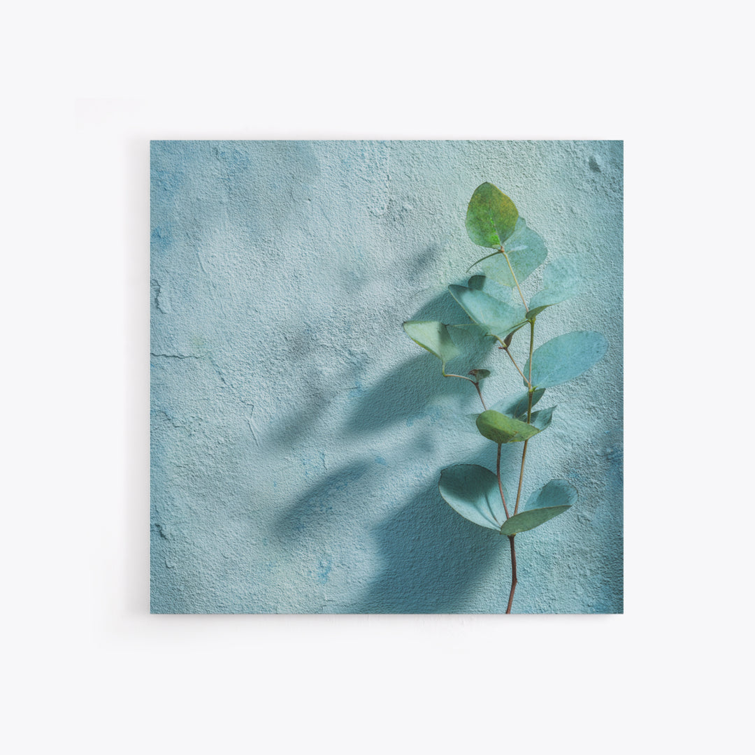 Sunlit Window Plant Shadow on Plaster Canvas Print, Bathroom Art, Bathroom Art Decor, Bathroom Decor, Fine Art, Spa, Boho Decor, BAT-1x1-90