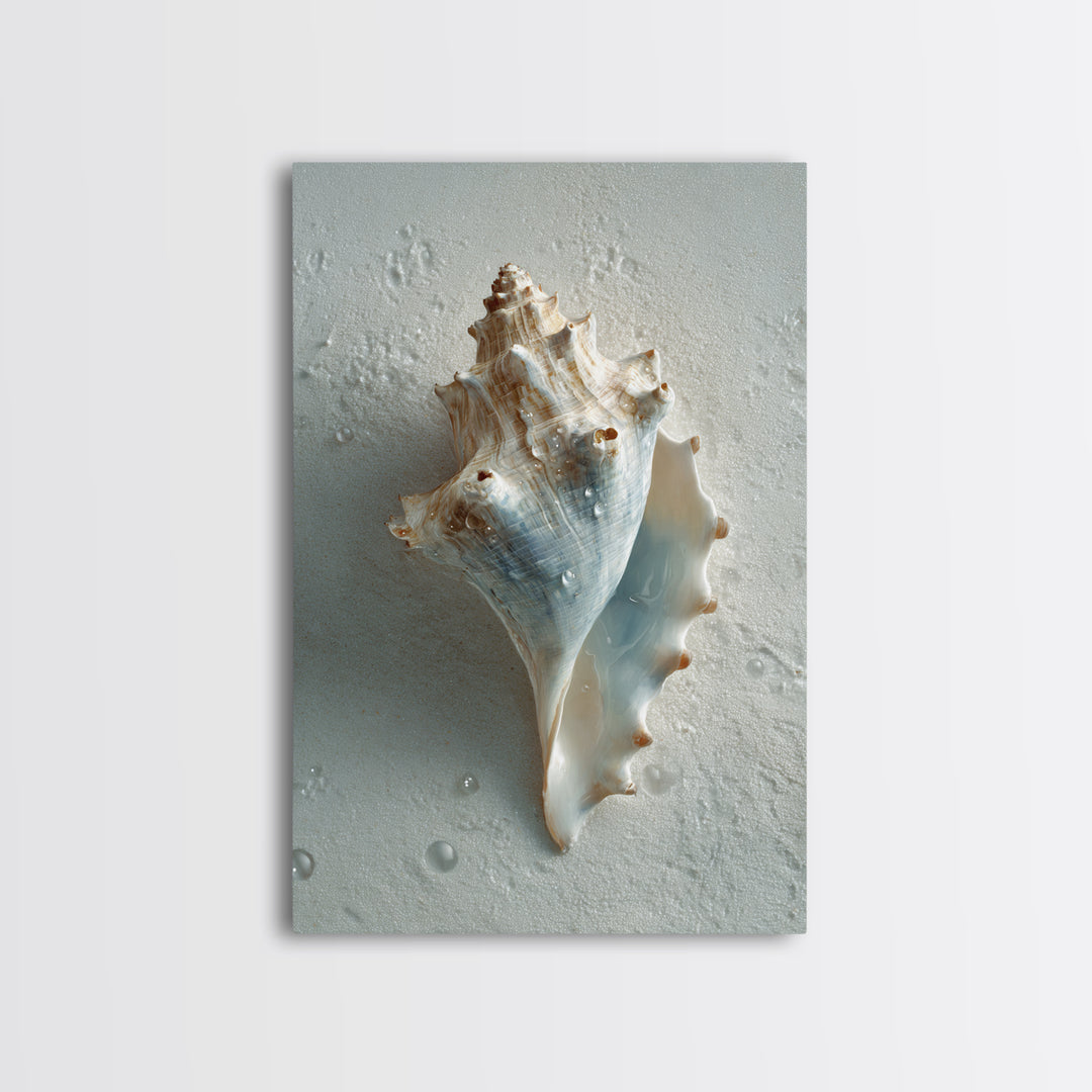 Minimal Seashell Still Life on Pale Sand Canvas Print, Bathroom Art, Modern Wall Art, Bathroom Decor, Abstract Art, Spa, BAT-2x3-11